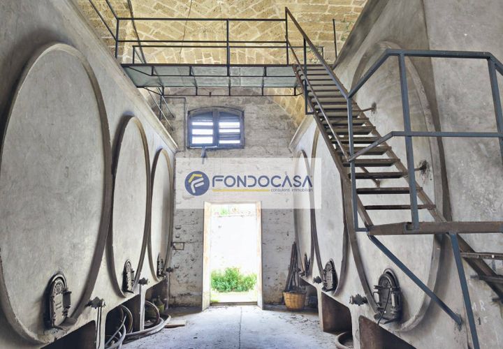 Erhvervsejendom i Trepuzzi, Lecce, Trepuzzi - € 180.000 | Ref: 82 - foto 1
