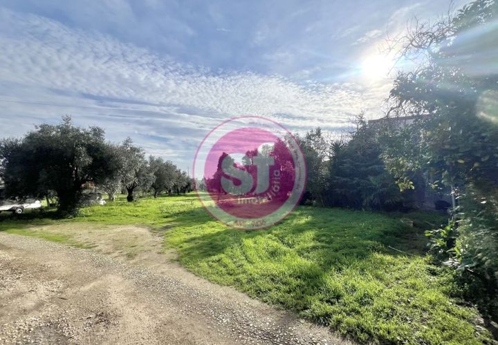 Helårsgrund i Mealhada, Aveiro, Mealhada - € 65.000 | Ref: 010801058 - foto 1