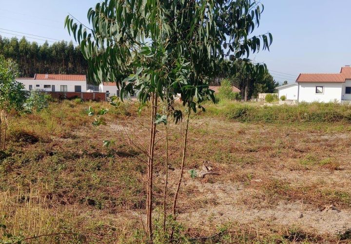 Helårsgrund i Rio Maior, Santarem, Rio Maior - € 85.000 | Ref: C0222-06858 - foto 1