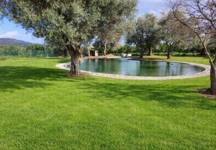 Farm hus i Olhao, Faro, Olhao - € 8.500.000 | Ref: C0500-00105 - foto 1