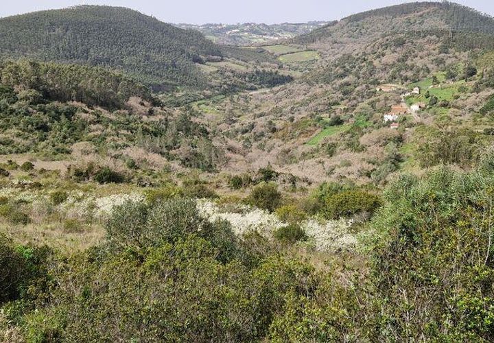 Helårsgrund i Mafra, Lisbon, Mafra - € 26.000 | Ref: 830540 - foto 1