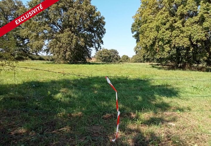 Tomt i Ahuille, Mayenne, Ahuille - € 109 000 | Ref: 198526 - foto 1