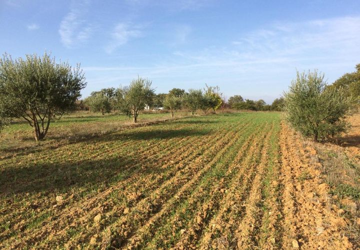 Helårsgrund i Alignan-du-Vent, Herault, Alignan-du-Vent - € 40.000 | Ref: 188855 - foto 1