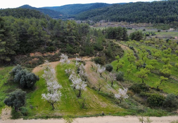 Finca a Caseres, Tarragona, Caseres - € 12.000 | Ref: Wca - foto 1