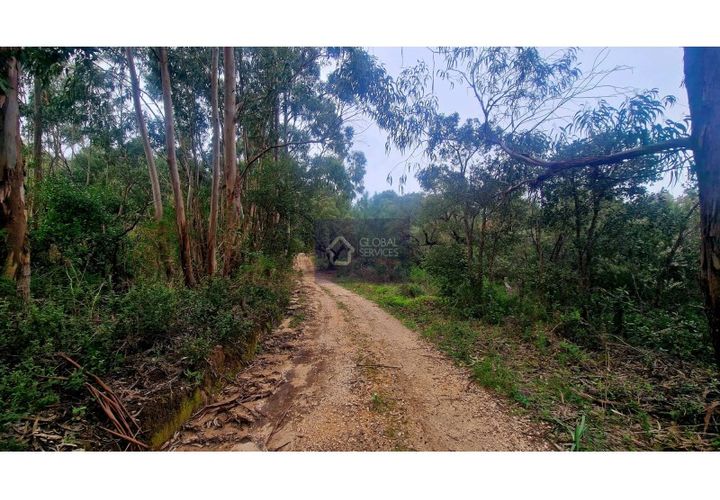 Helårsgrund i Monchique, Faro, Monchique - € 160.000 | Ref: GS17711GC - foto 1