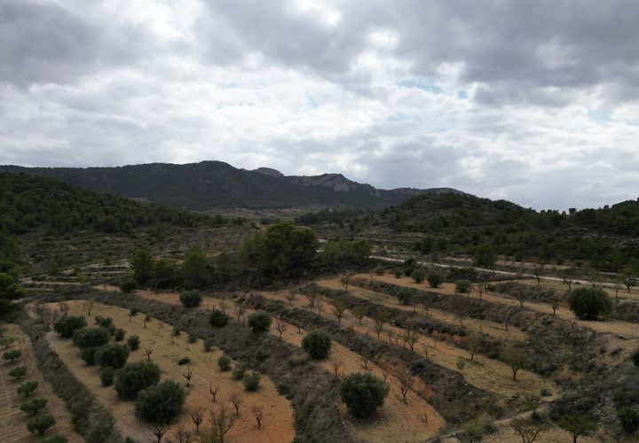 Helårsgrund i La Zarza, Murcia, La Zarza - € 35.000 | Ref: CLDZH-22682 - foto 1