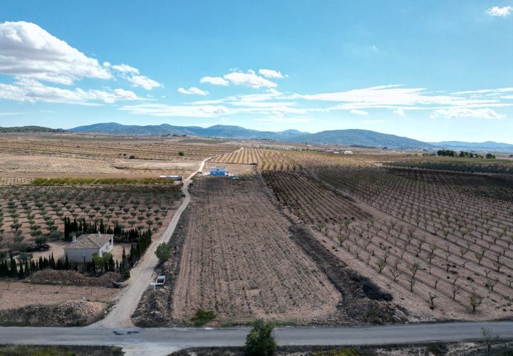 Terra a Lel, Alicante, Lel - € 49.950 | Ref: CLDZH-32242 - foto 1
