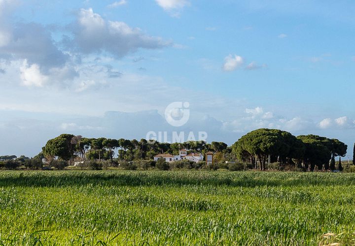 Villa a Marchena, Sevilla, Marchena - € 940.000 | Ref: 211086 - foto 1