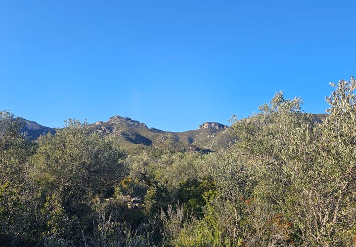 Tomt i Rossell, Castellon, Rossell - € 26 000 | Ref: finca T 26 - foto 1