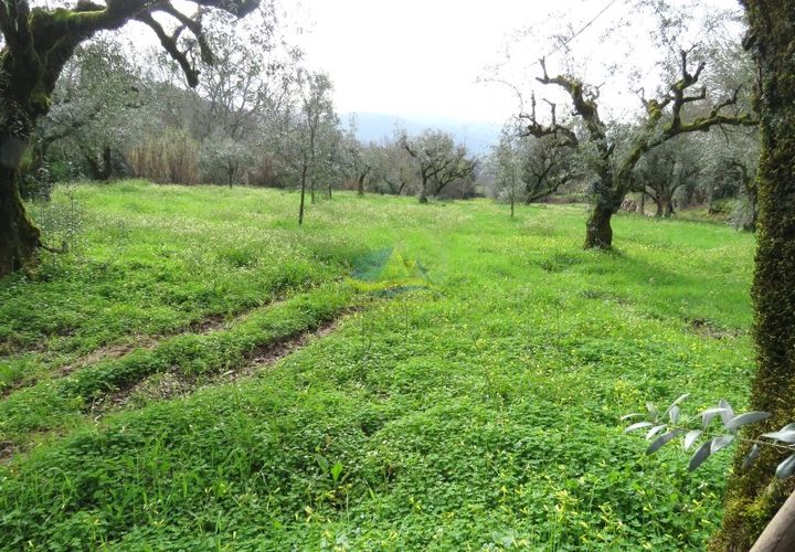 Helårsgrund i Miranda do Corvo, Coimbra, Miranda do Corvo - € 15.000 | Ref: ko2714 - foto 1