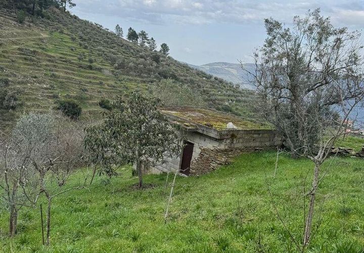 Helårsgrund i Tabuaco, Viseu, Tabuaco - € 63.000 | Ref: 830747 - foto 1