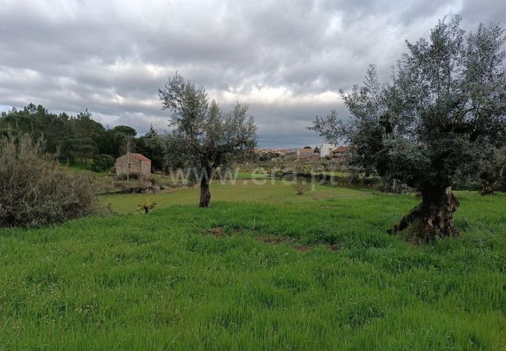 Terra a Seia, Guarda, Seia - € 70.000 | Ref: 382260021 - foto 1