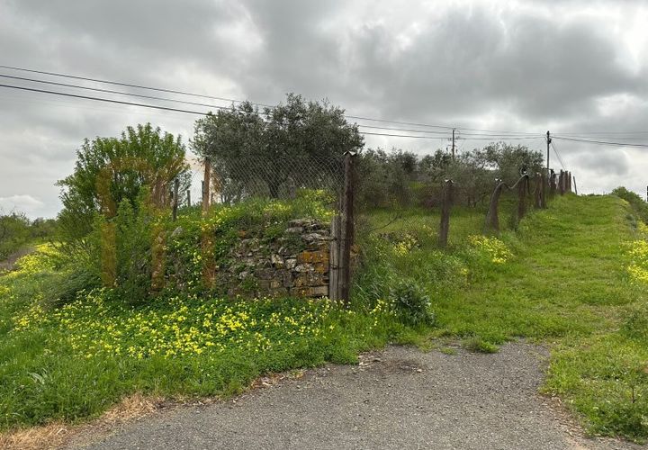 Helårsgrund i Beja, Beja, Beja - € 30.000 | Ref: BYS-1126 - foto 1