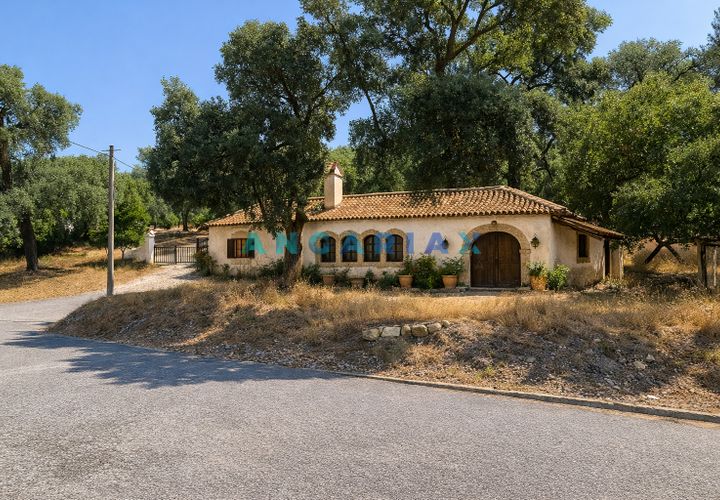 Terra em Abrantes, Santarem, Abrantes - € 117.000 | Ref: ANG1558 - foto 1