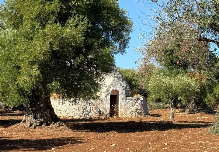 Villa i Ostuni, Brindisi, Ostuni - € 650.000 | Ref: 910 - foto 1