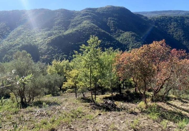 Lejlighed i Pierrefeu, Alpes-Maritimes, Pierrefeu - € 147.000 | Ref: 86807750 - foto 1