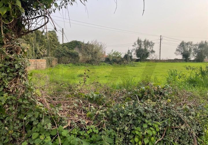 Tomt i Agueda, Aveiro, Agueda - € 70 000 | Ref: KWPT-029046 - foto 1