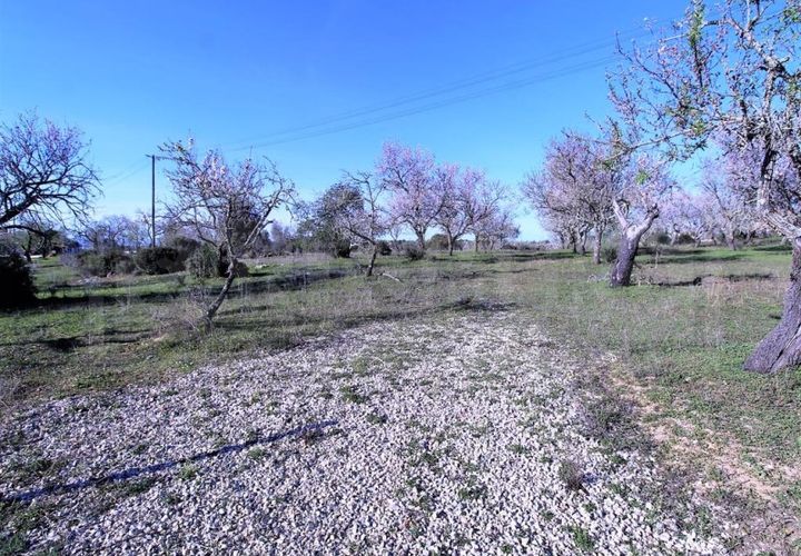 Helårsgrund i Guia, Faro, Guia - € 750.000 | Ref: STC2449 - foto 1