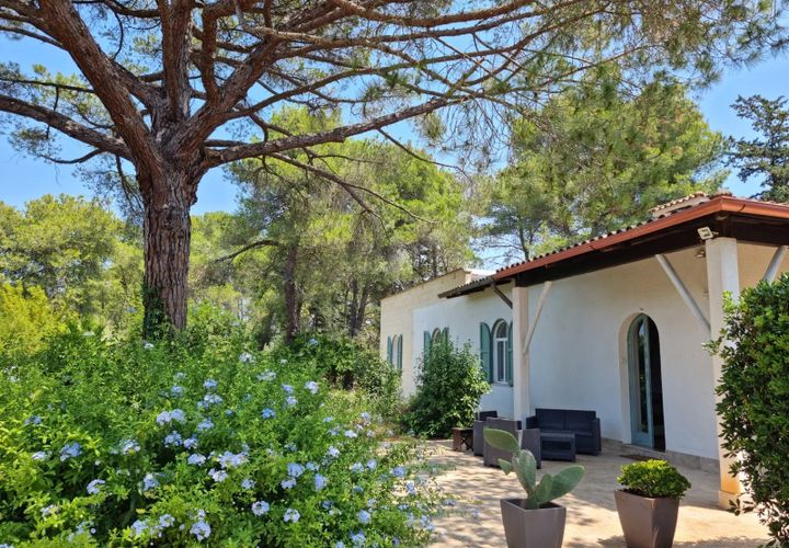 Villa em Manduria, Taranto, Manduria - € 360.000 | Ref: V775 - foto 1