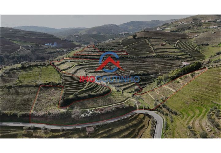 Farm i Moimenta da Beira, Viseu, Moimenta da Beira - € 100.000 | Ref: MAS_51 - foto 1