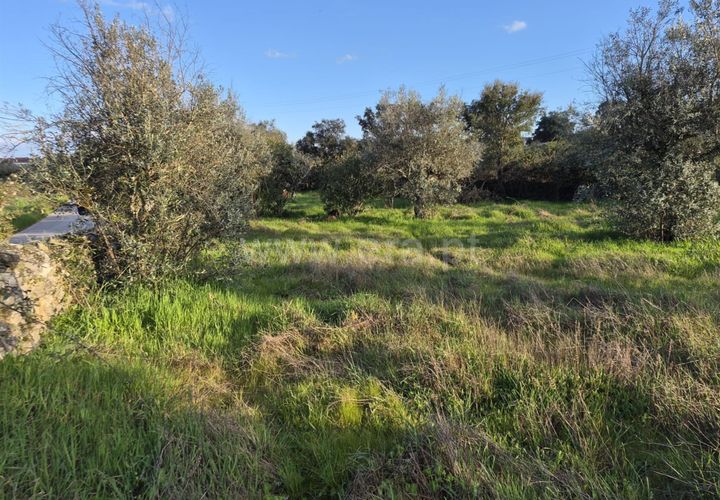 Terra a Nisa, Portalegre, Nisa - € 27.500 | Ref: 102260043 - foto 1