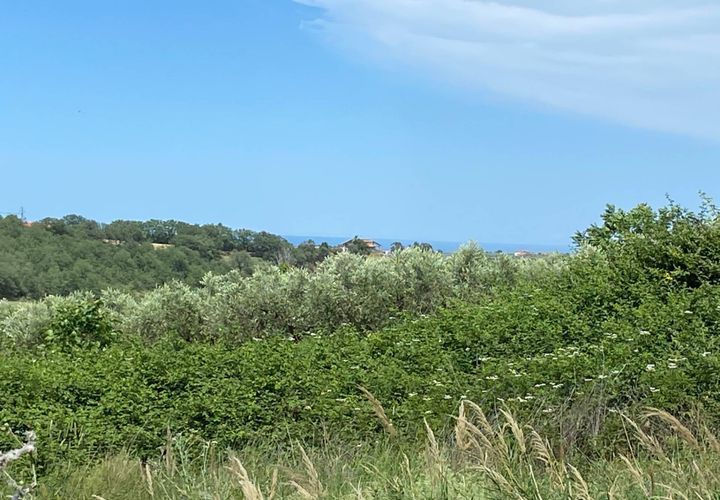Helårsgrund i Cupello, Chieti, Cupello - € 19.000 | Ref: 514SS - foto 1