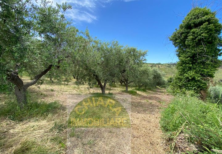 Helårsgrund i Cupello, Chieti, Cupello - € 18.000 | Ref: 514ST - foto 1