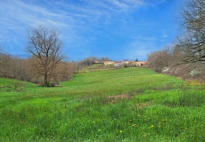 Terra a Montfa, Tarn, Montfa - € 350.000 | Ref: DOM29208 - foto 1