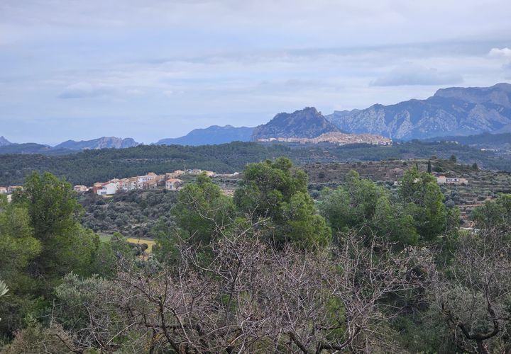 Finca i Cretas, Teruel, Cretas - € 55.000 | Ref: finca Delfi - foto 1