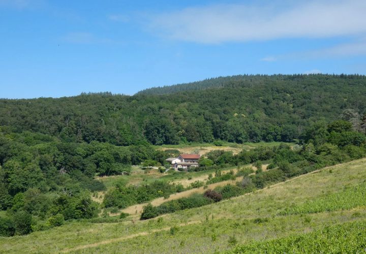 Landejendom i Ige, Saone-et-Loire, Ige - € 168.000 | Ref: 85574254 - foto 1