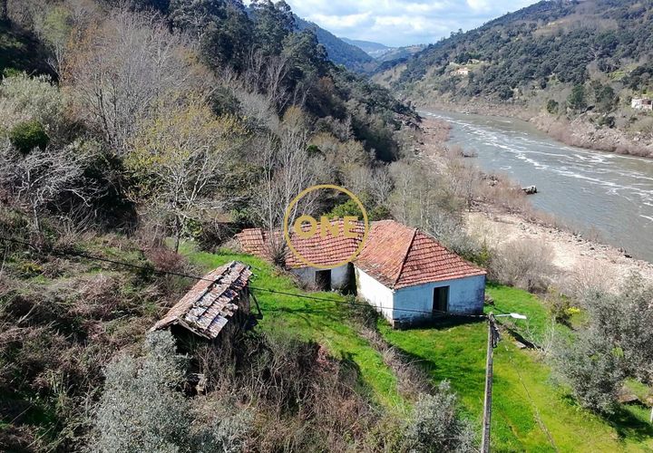 Farm i Cinfaes, Viseu, Cinfaes - € 350.000 | Ref: ONE471716-6 - foto 1