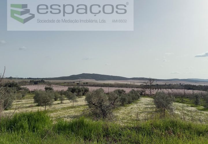 Terra a Fundao, Castelo Branco, Fundao - € 46.000 | Ref: 5508/CP-AF - foto 1