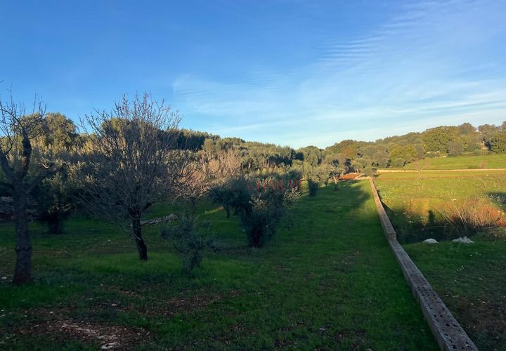 Helårsgrund i Ostuni, Brindisi, Ostuni - € 85.000 | Ref: 357 - foto 1