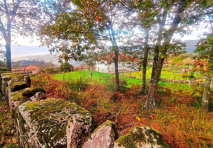 Helårsgrund i Arcos de Valdevez, Viana do Castelo, Arcos de Valdevez - € 48.000 | Ref: 123331167-559 - foto 1