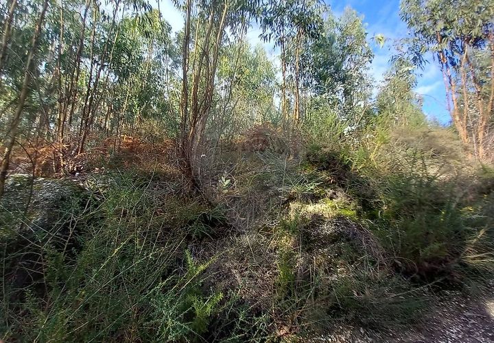 Helårsgrund i Guimaraes, Braga, Guimaraes - € 115.000 | Ref: 121751088-514 - foto 1