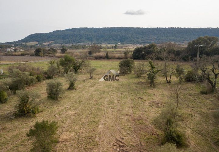 Terra a Claret, Herault, Claret - € 175.000 | Ref: 34735706 - foto 1
