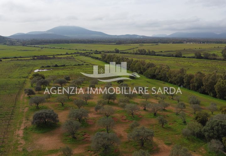 Tomt i Alghero, Sassari, Alghero - € 190 000 | Ref: SAS52 - foto 1
