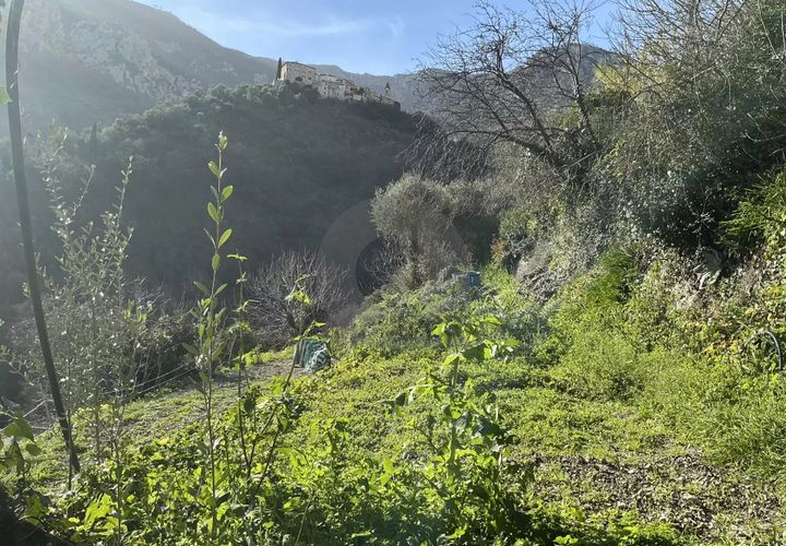 Terra a Gorbio, Alpes-Maritimes, Gorbio - € 265.000 | Ref: D15888 - foto 1
