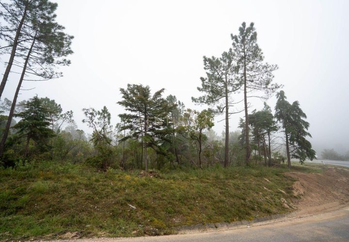 Terra a Condeixa-a-Nova, Coimbra, Condeixa-a-Nova - € 37.000 | Ref: C0289-01971 - foto 1