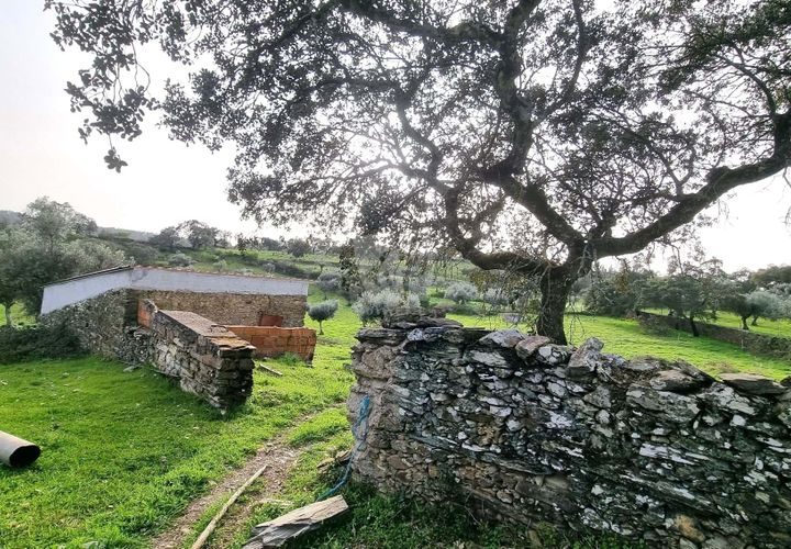 Terra a Perais, Castelo Branco, Perais - € 34.000 | Ref: H771 - foto 1