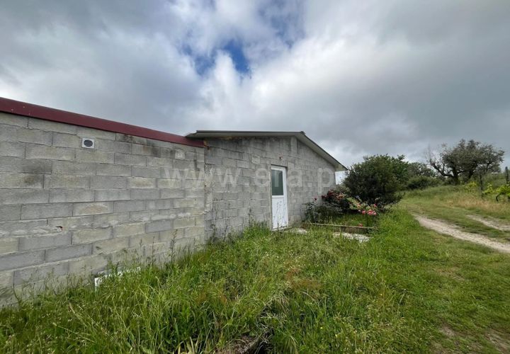 Terra a Nelas, Viseu, Nelas - € 69.000 | Ref: 382260023 - foto 1