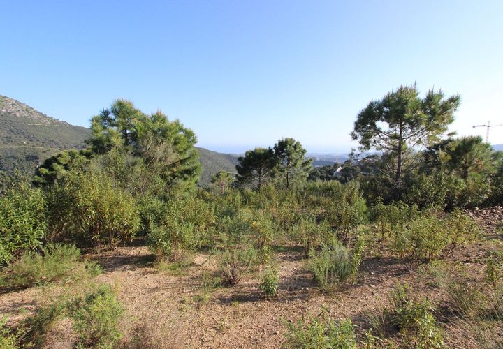 Terra a Benahavis, Malaga, Benahavis - € 750.000 | Ref: R5332990 - foto 1