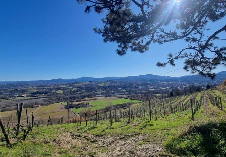 Farm hus i Ovada, Alessandria, Ovada - € 2.200.000 | Ref: RP-856092-856092 - foto 1