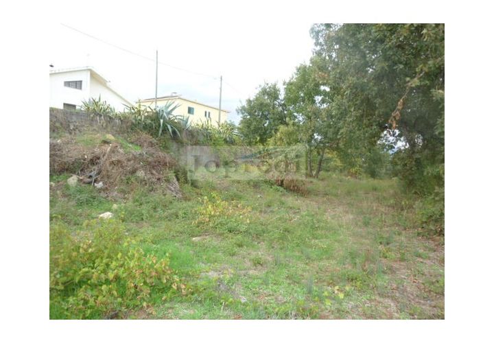 Helårsgrund i Fundao, Castelo Branco, Fundao - € 35.000 | Ref: 2918 - foto 1