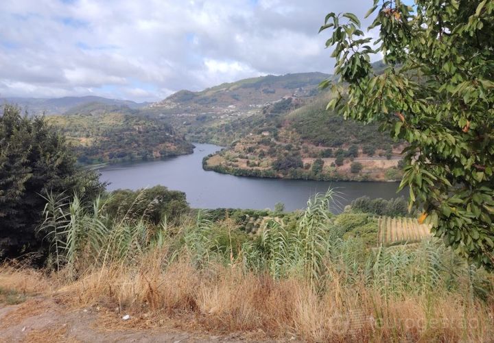 Farm i Barro, Aveiro, Barro - € 185.000 | Ref: LMG_4101 - N - foto 1