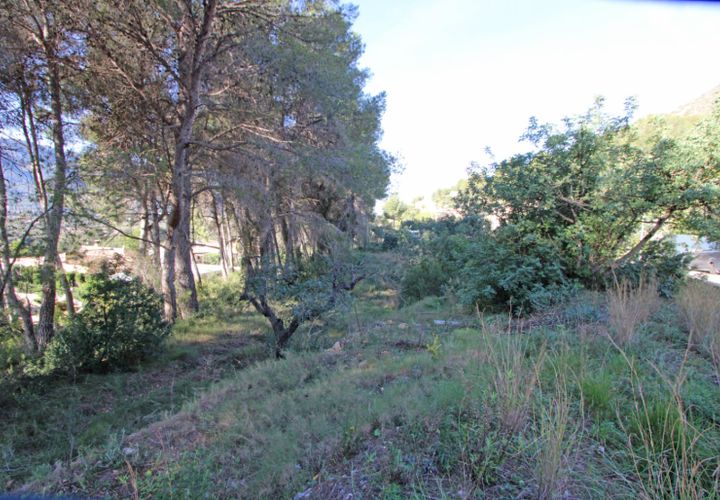 Tomt i Alcalali, Alicante, Alcalali - € 300 000 | Ref: 001834 - foto 1