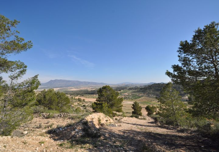 Terra a La Zarza, Murcia, La Zarza - € 39.900 | Ref: 44020c2603 - foto 1