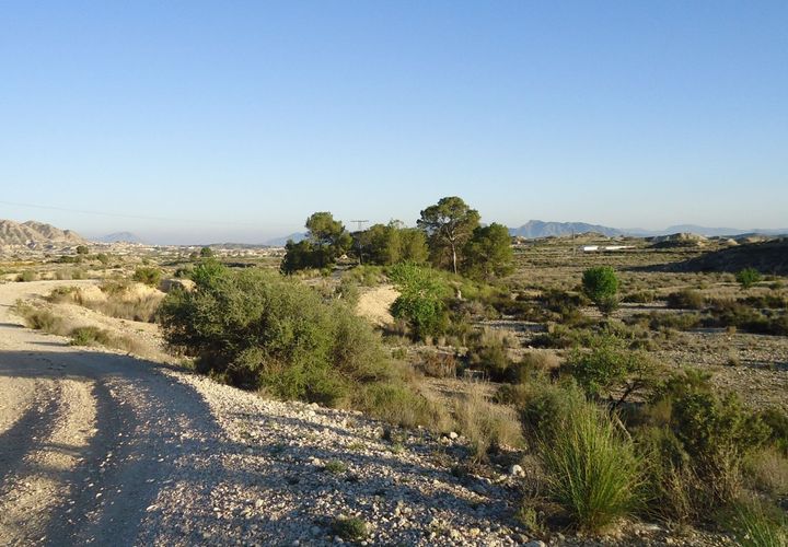 Helårsgrund i Abanilla, Murcia, Abanilla - € 22.900 | Ref: 44091c2603-PB - foto 1