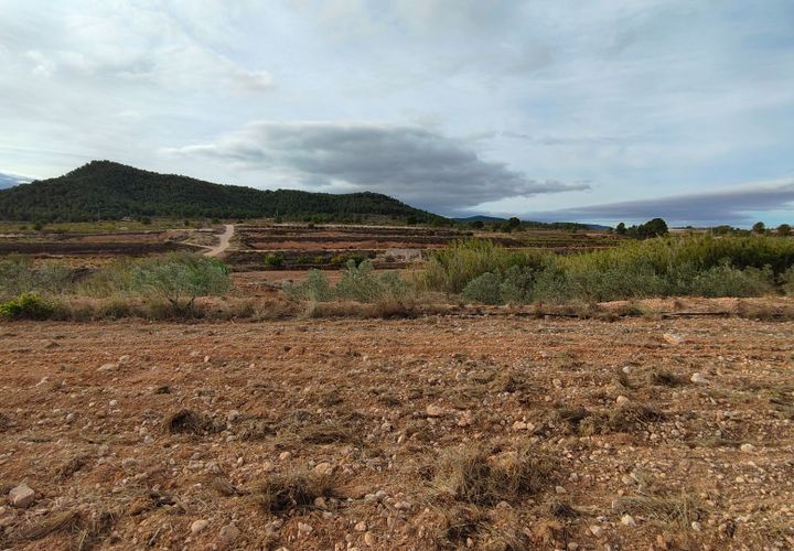 Terra a Monovar, Alicante, Monovar - € 42.900 | Ref: 44090c2603-SS - foto 1