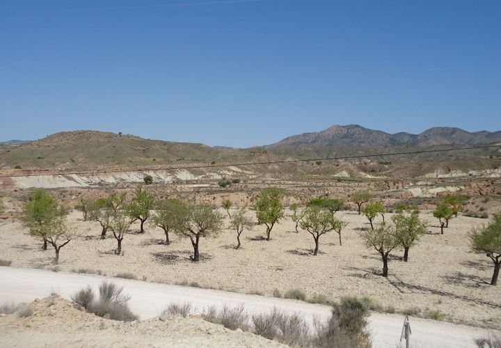 Terra a Abanilla, Murcia, Abanilla - € 32.900 | Ref: 44086c2603 - foto 1